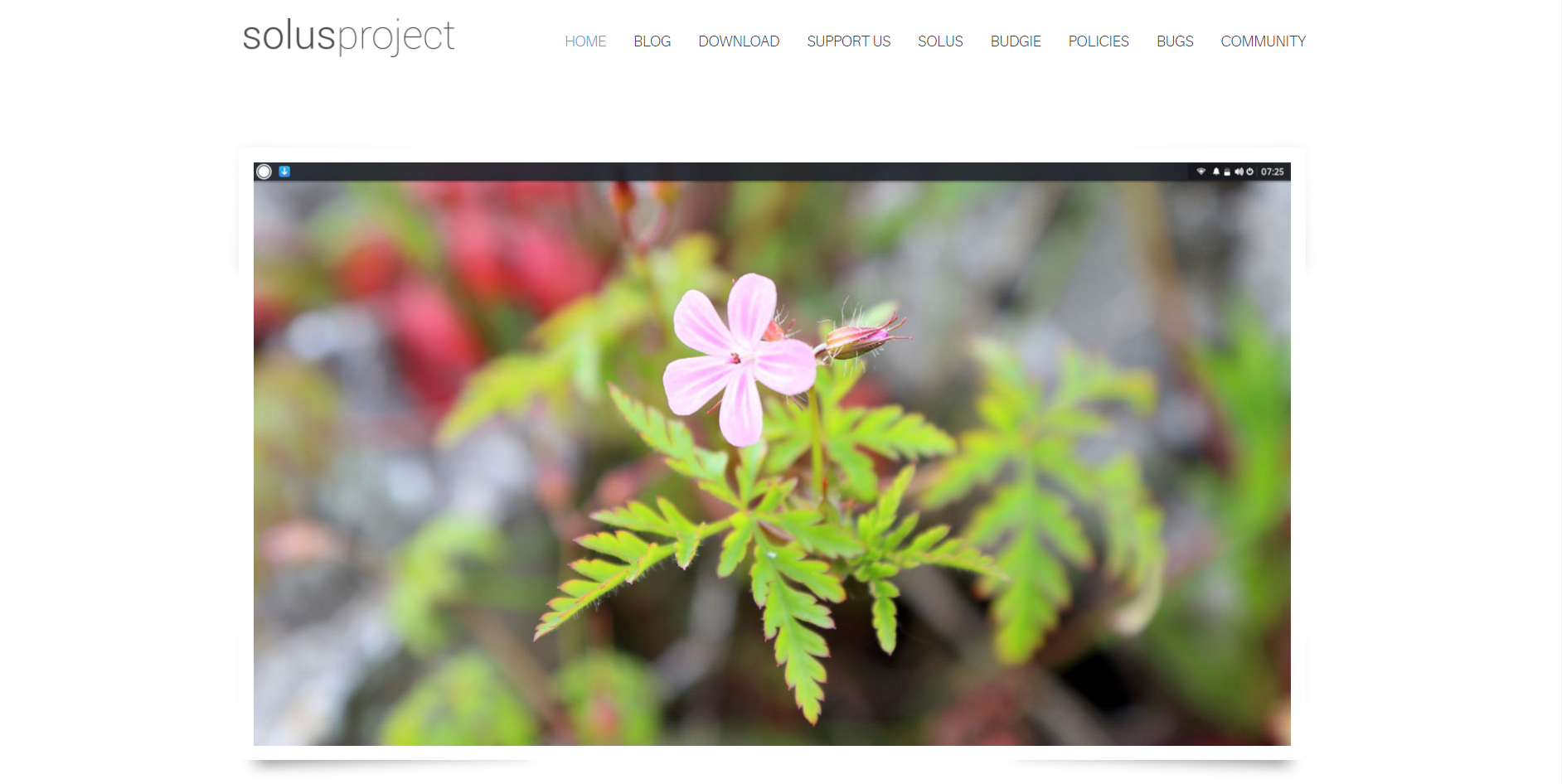 Majority of what you see when you go to their website is the default desktop background - a stock image of a flower... Ok, I guess?